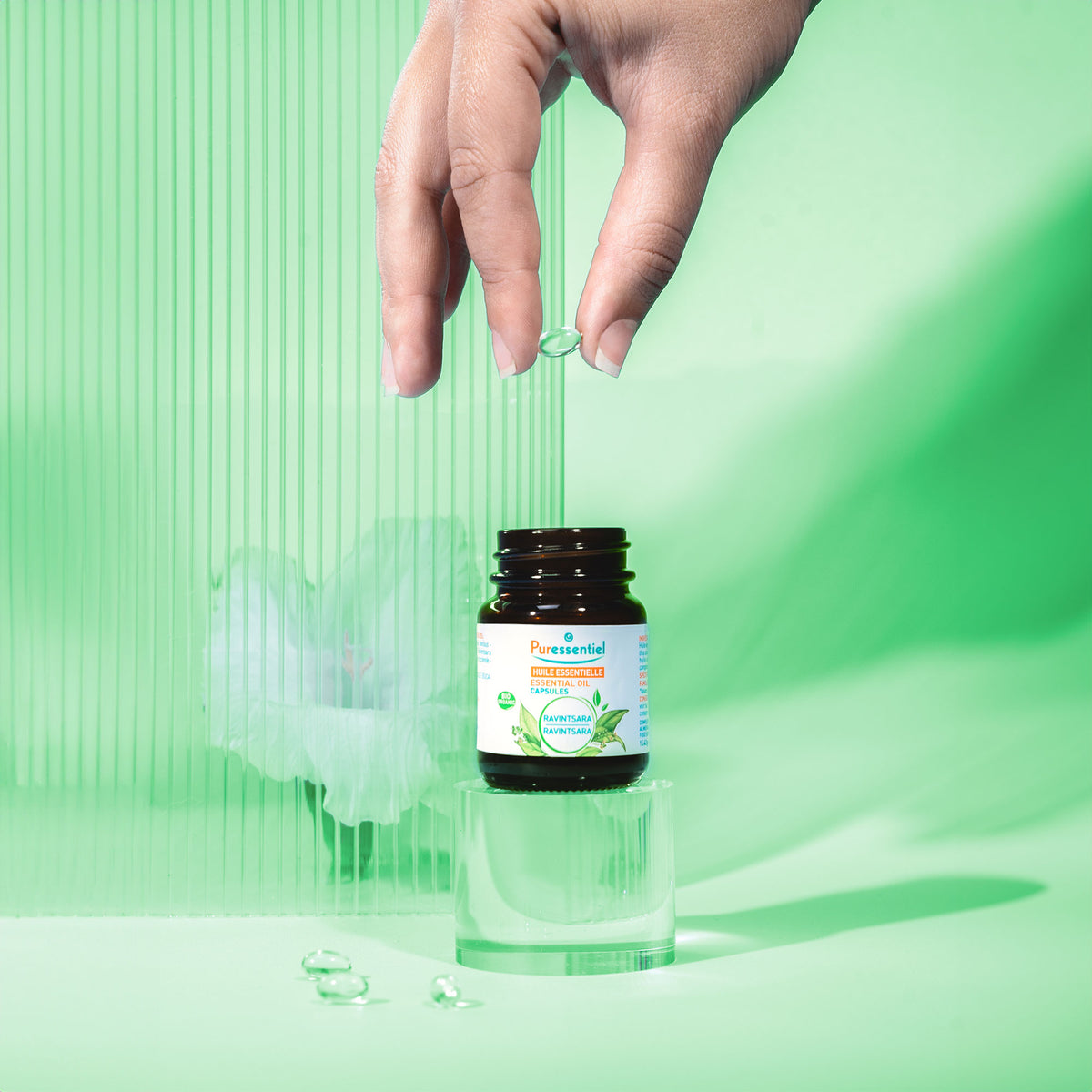 Capsules de Ravintsara BIO