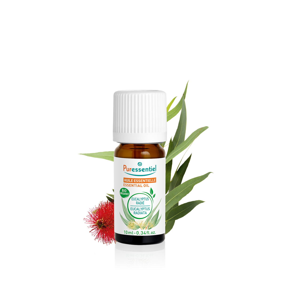 Huile Essentielle Eucalyptus Radié BIO