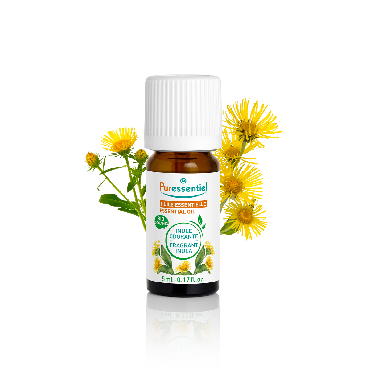 Huile Essentielle Inule odorante BIO