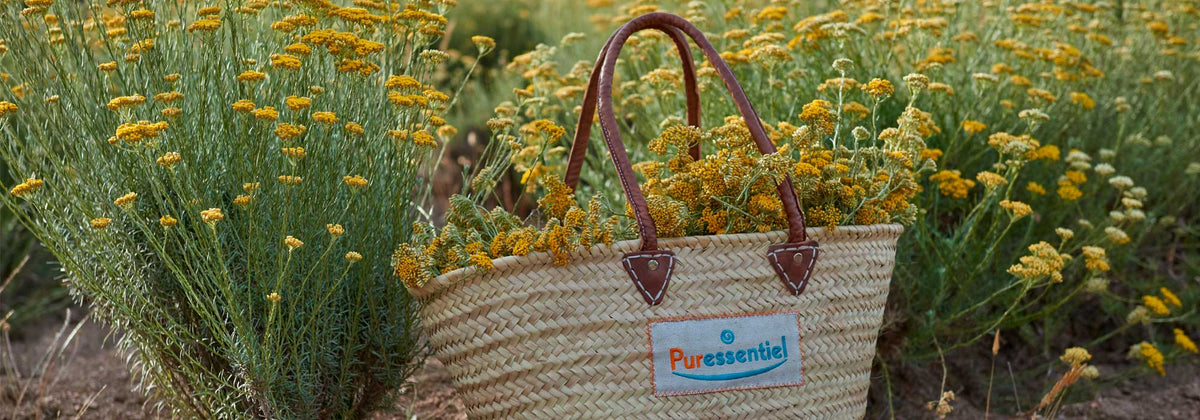 projets nature fondation puressentiel