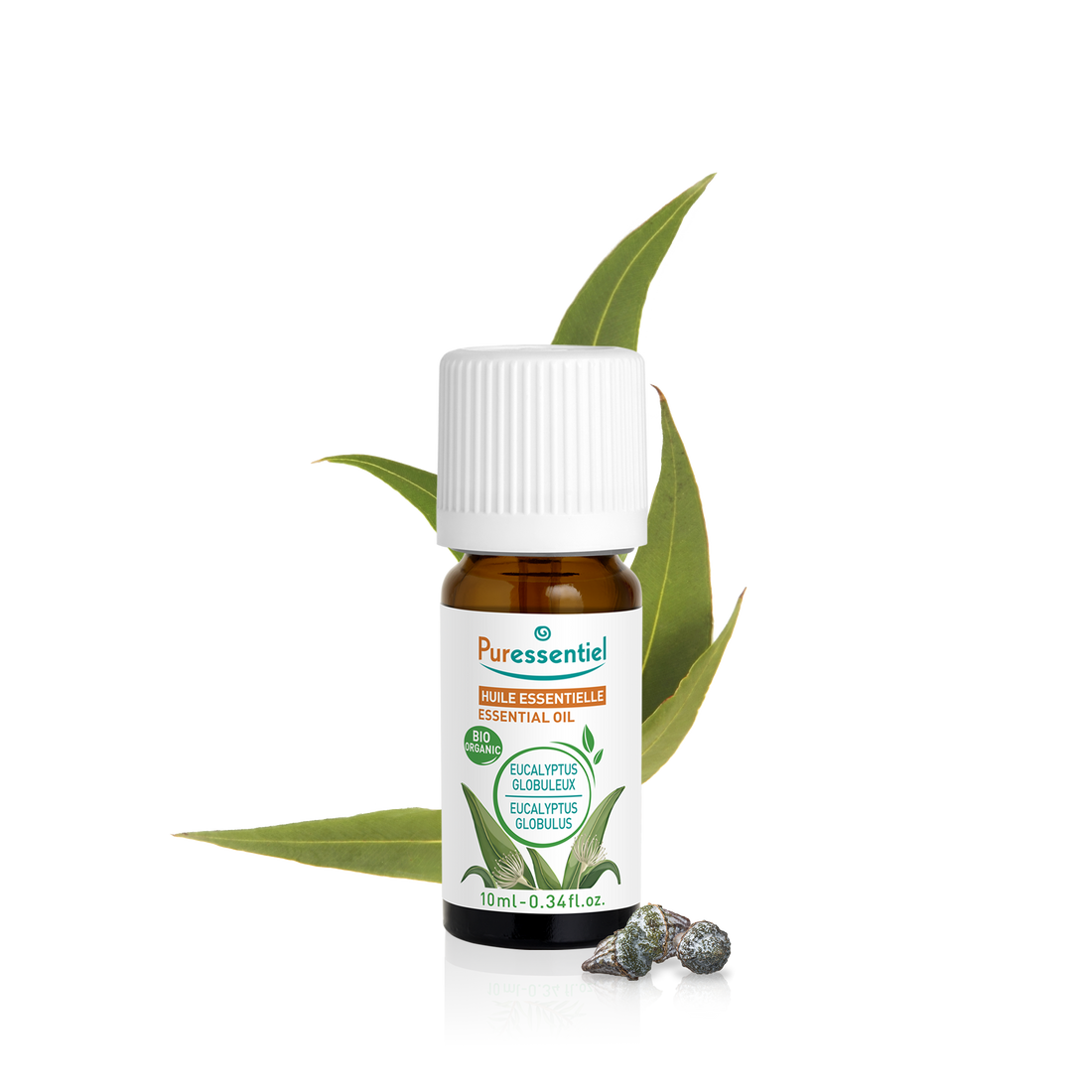 Huile Essentielle Eucalyptus Globuleux BIO