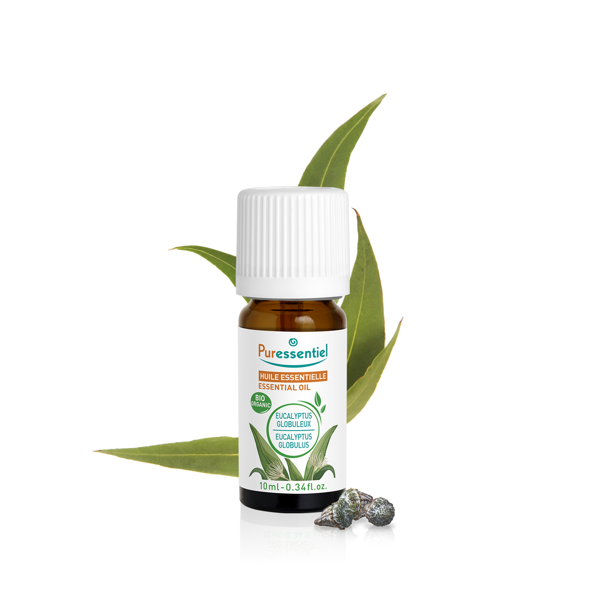 Huile Essentielle Eucalyptus Globuleux BIO