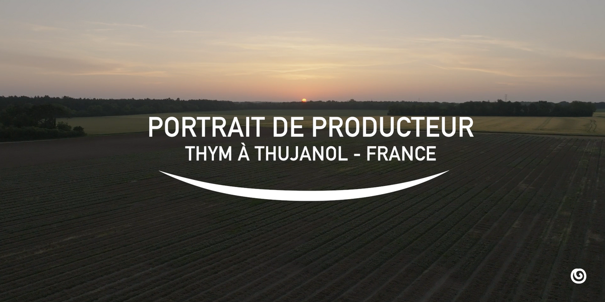 Charger la vidéo: Venez découvrir les producteurs et leur rôle au sein de la production de l'huile essentielle de thym à thujanol.