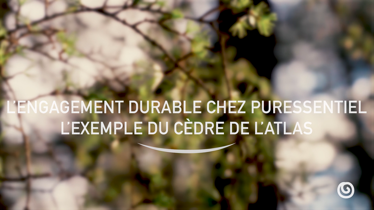 Charger la vidéo: Vidéo explicative sur l'engagement durable chez Puressentiel, en prenant en exemple le cèdre de l'Atlas