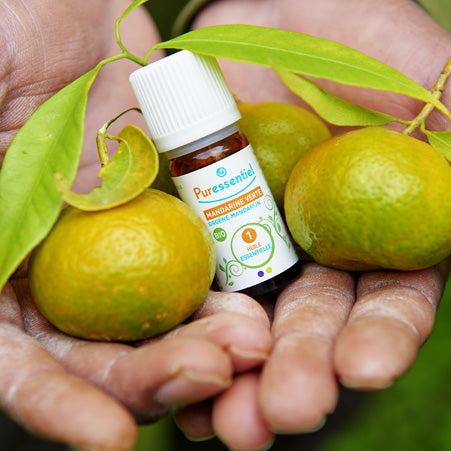 recyclage puressentiel